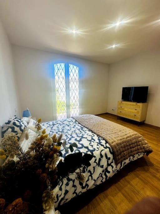 Grande Proche De La Villa Canet-en-Roussillon